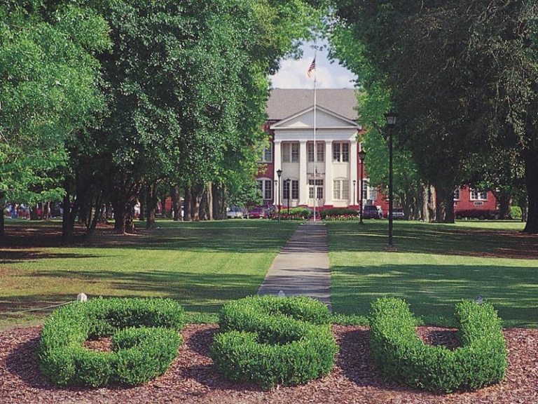 georgia-southern-early-childhood-education-degrees