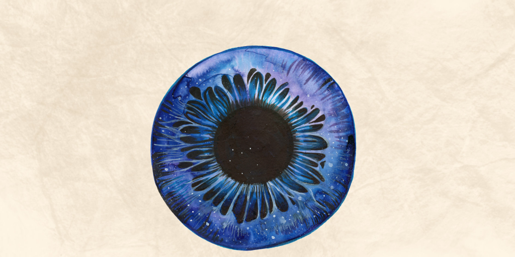 How Our Eyes Develop