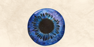 How Our Eyes Develop